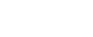 The Aspen Leadership Group logo in white